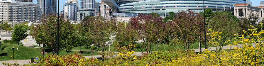 soldier field parkland parking